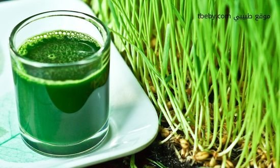 عشب القمح لعلاج ألم الأسنان
