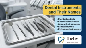 Dental Instruments and Their Names PDF with Pictures Complete Professional Guide