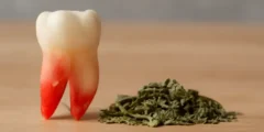 أفضل اعشاب لوقف نزيف بعد خلع الضرس أفضل اعشاب لوقف نزيف بعد خلع الضرس