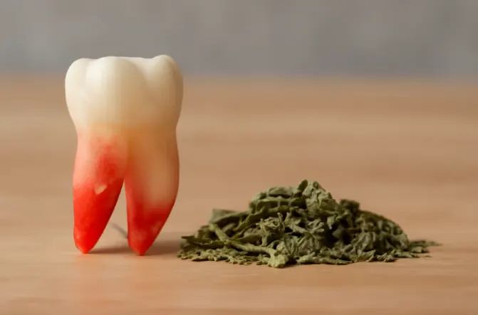 اعشاب لوقف نزيف بعد خلع الضرس