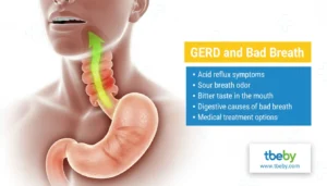 The Connection Between Digestive Health and Bad Breath